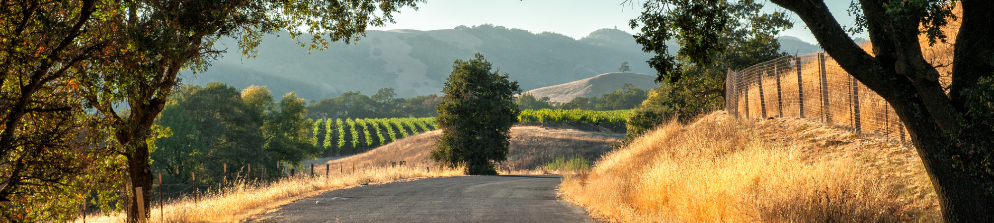 blog page countryside image