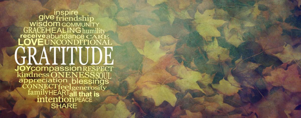 Gratitude