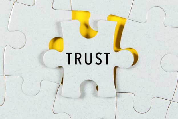 trust puzzle