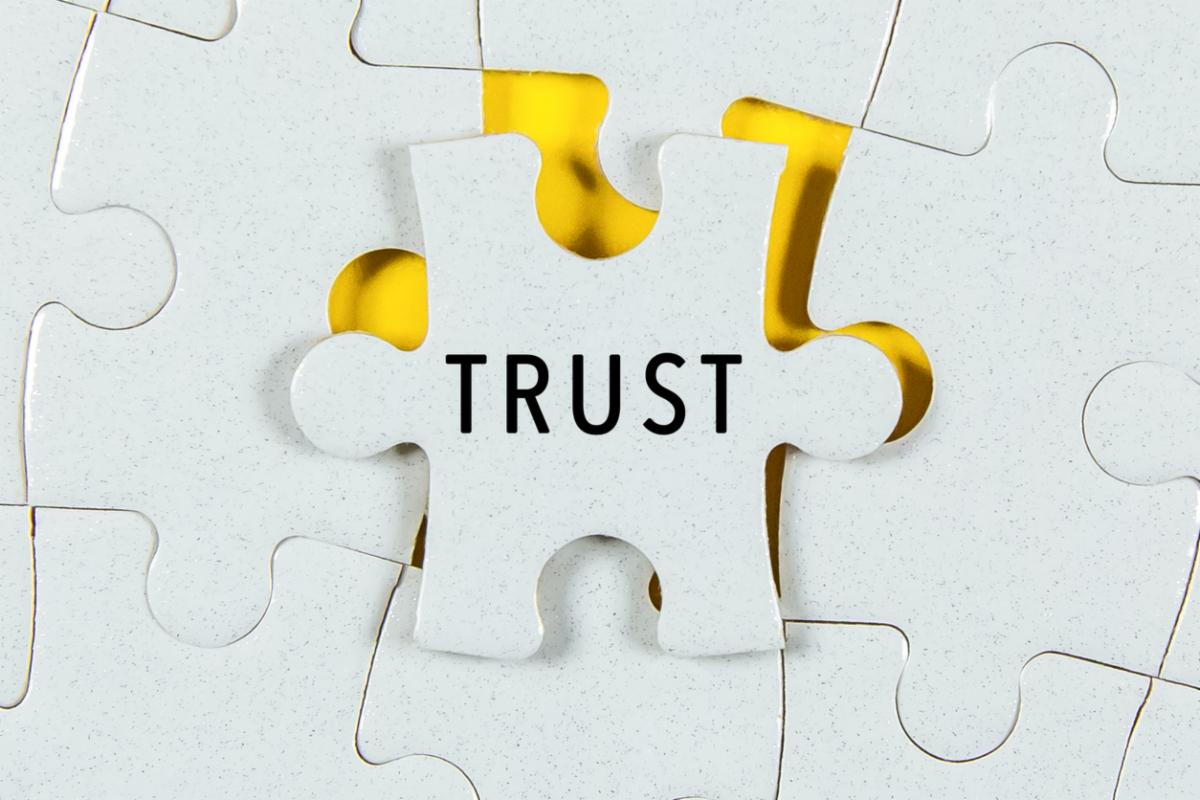 trust puzzle