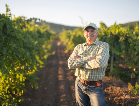 Sonoma_Law_Expertise_business