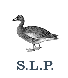 slp Duck_Logo