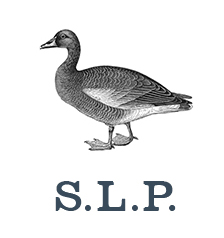Duck_Logo SLP